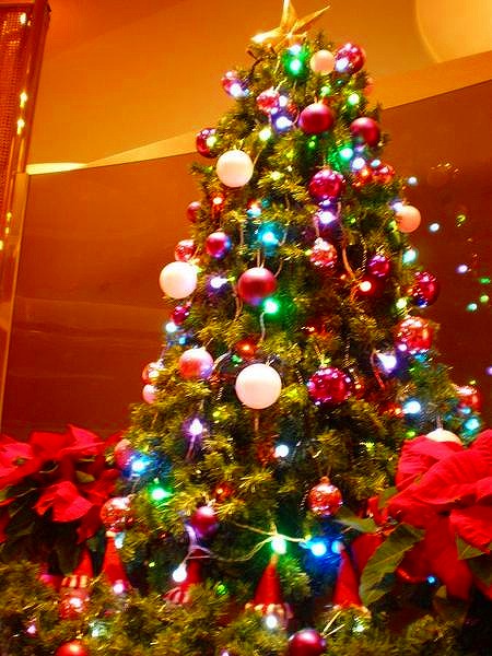 館内クリスマスツリー-ブログ用